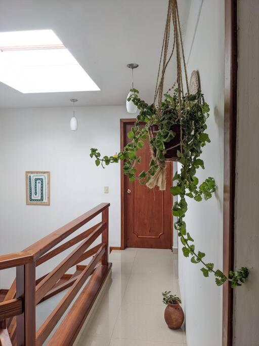 Casa Mua Hotel ซานกริสโตบัล เด ลาสกาซาส ภายนอก รูปภาพ