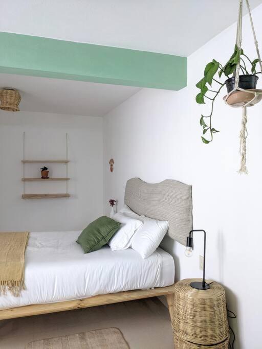 Casa Mua Hotel ซานกริสโตบัล เด ลาสกาซาส ห้อง รูปภาพ
